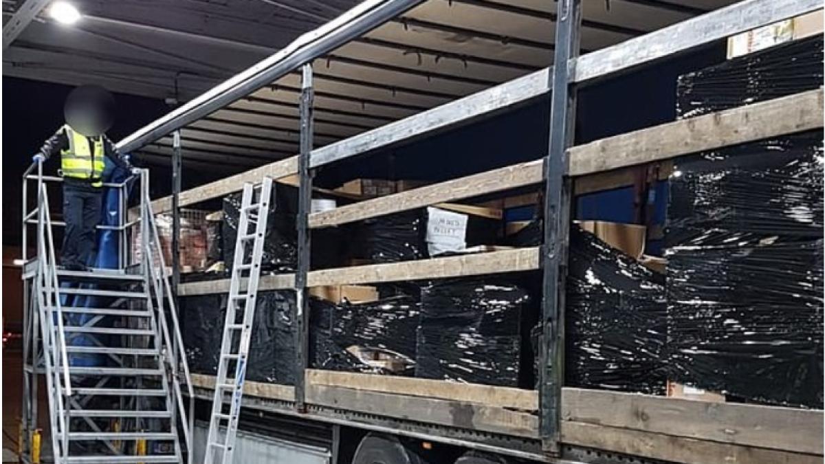 sofer_roman_migranti