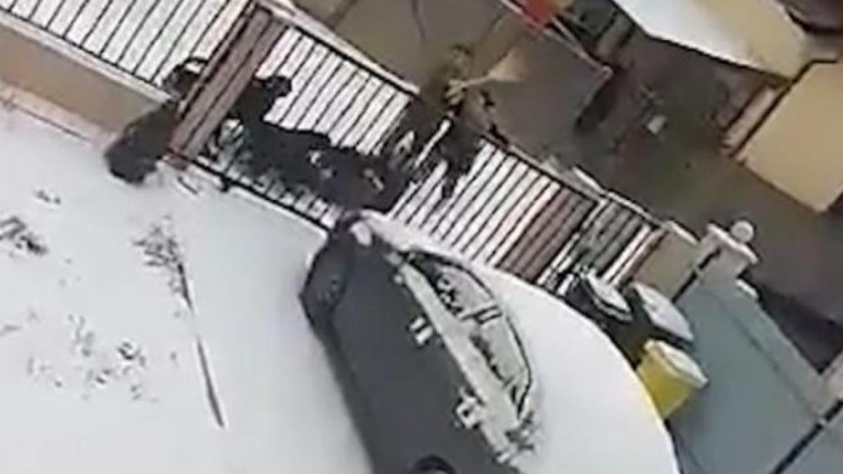 femeie_atacata_de_caini