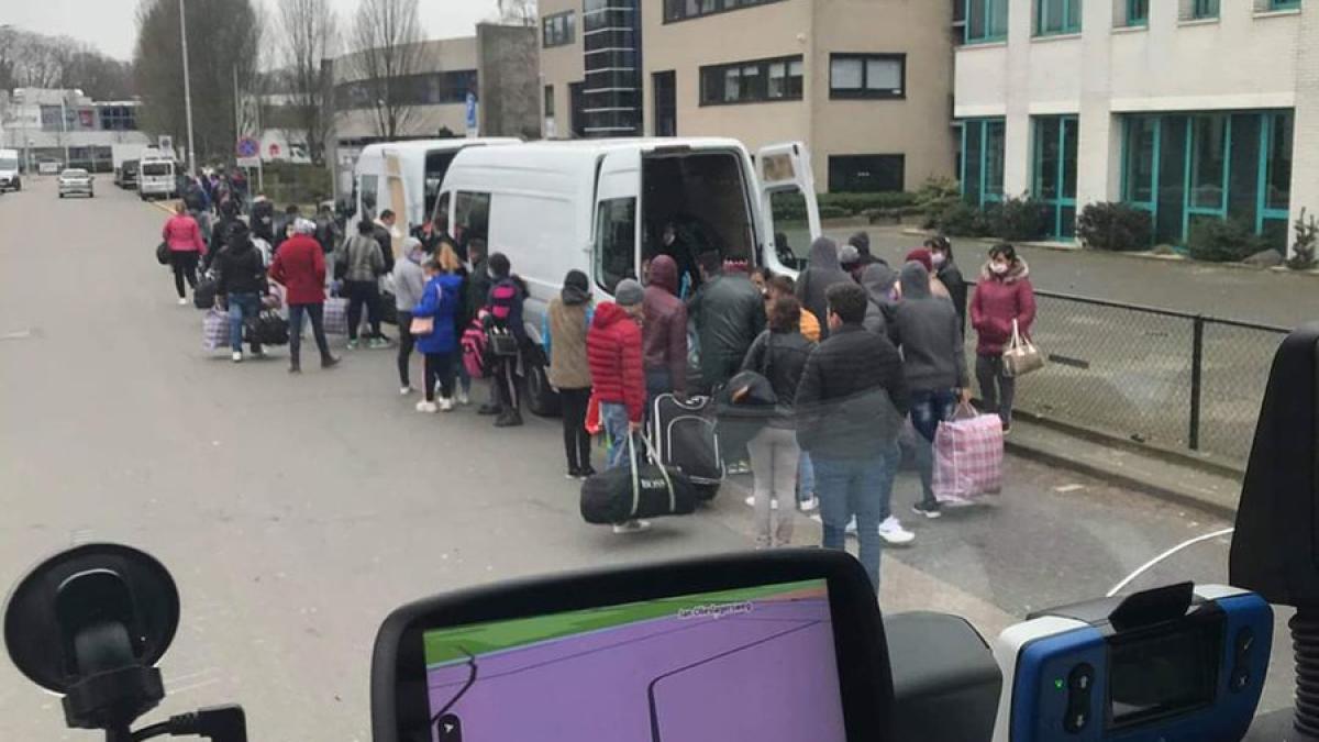 romni_olanda_munca_zbor_suspendat_corona