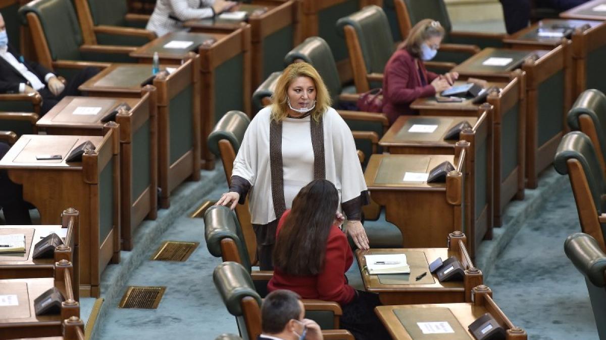 diana-sosoaca-in-parlament-foto-buna