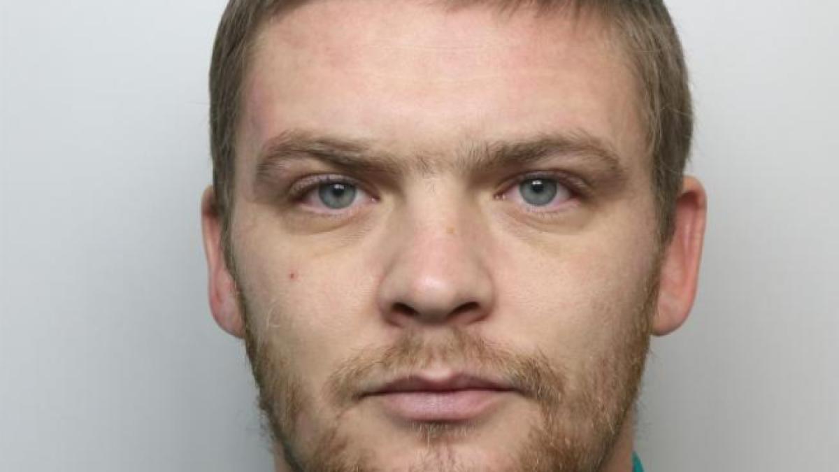 istvan-kabai-roman-anglia-cannabis