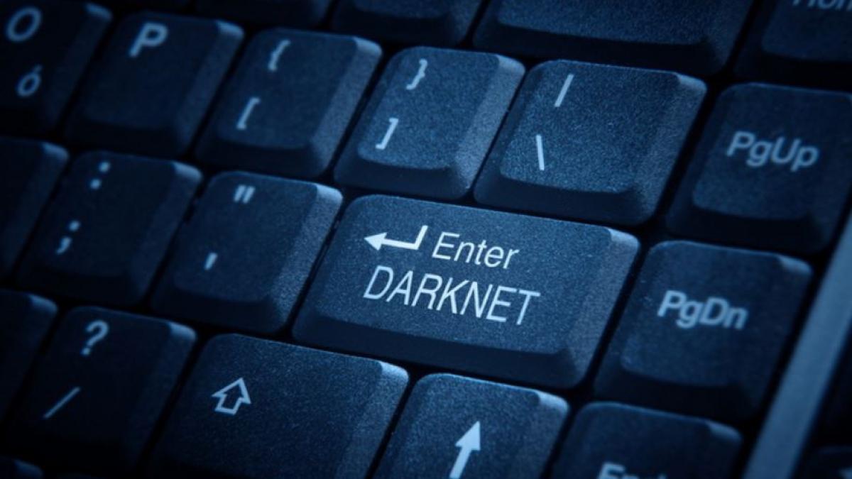 dark_net
