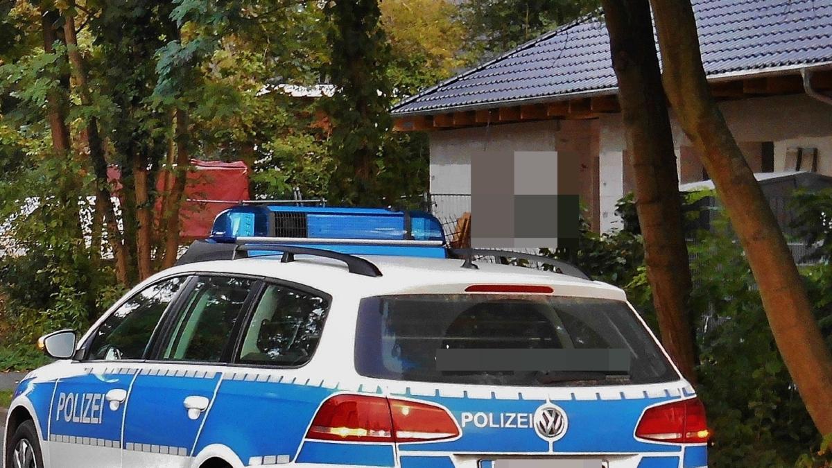 germania-politia-roman-mort-in-casa