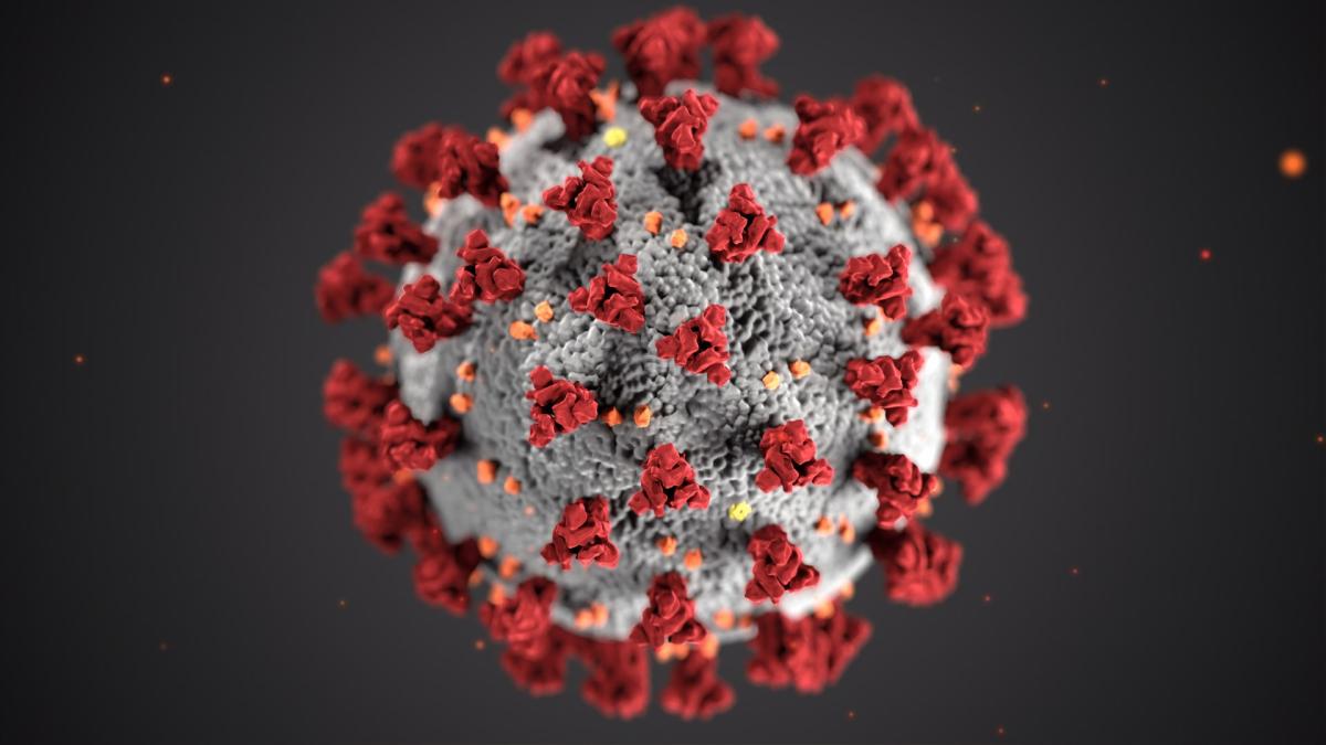 boala_microbi_virus