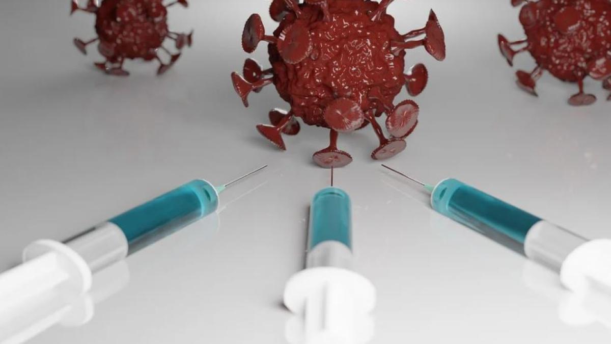 vacicin_covid_belgia