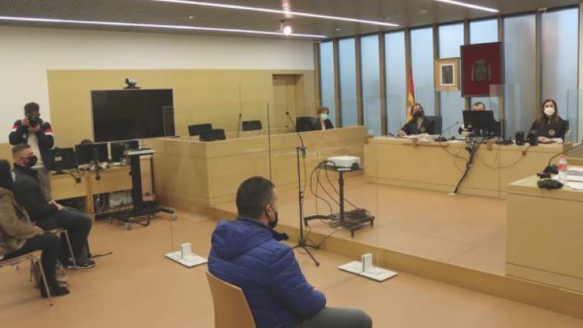 spania_romani_judecati_cules_ciuperci