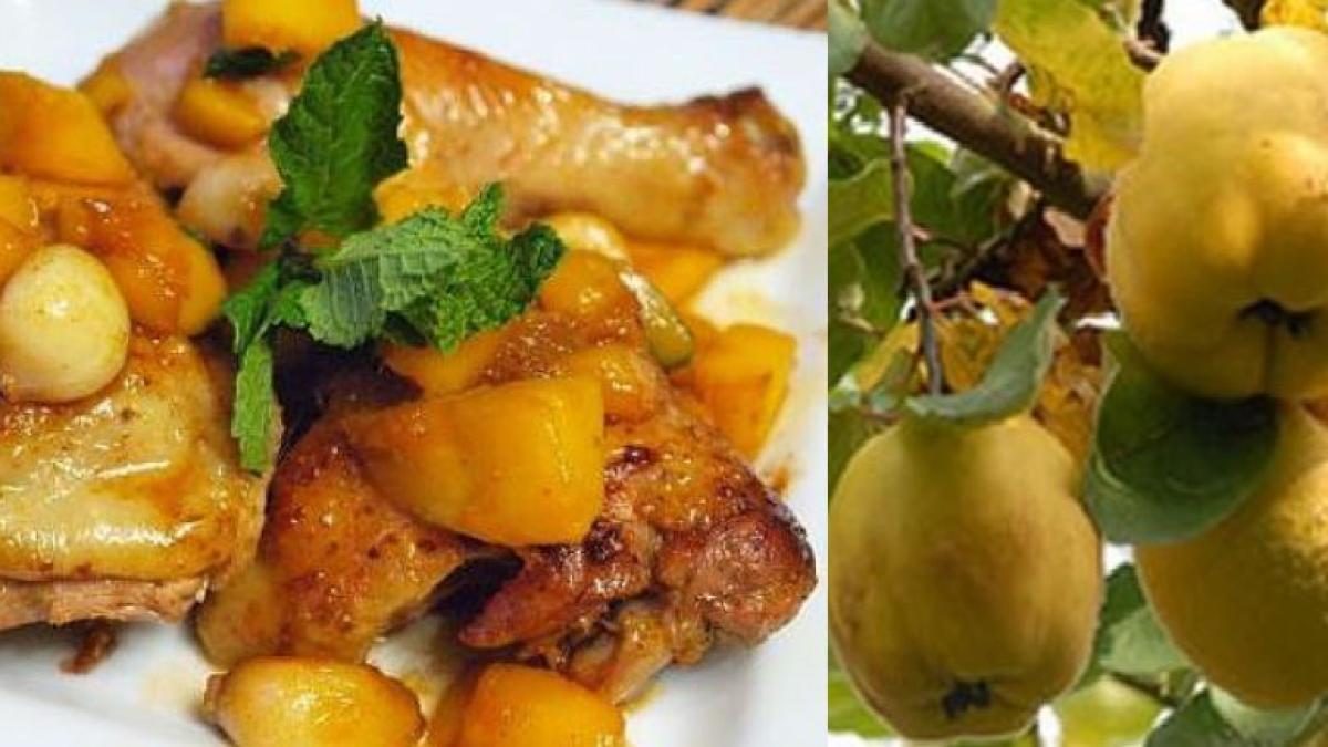 mancare_de_gutui_cu_pui