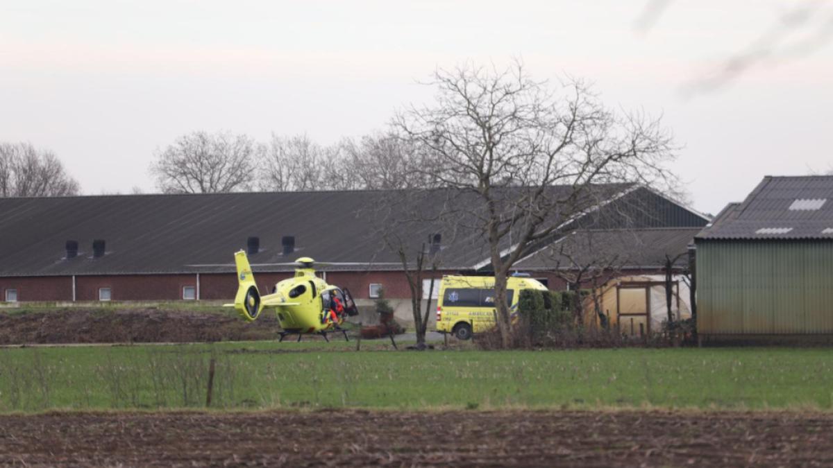 elicopter-medical-ferma-roman-mort-olanda