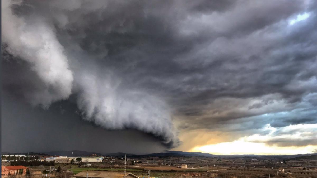 furtuna-hortensia-spania