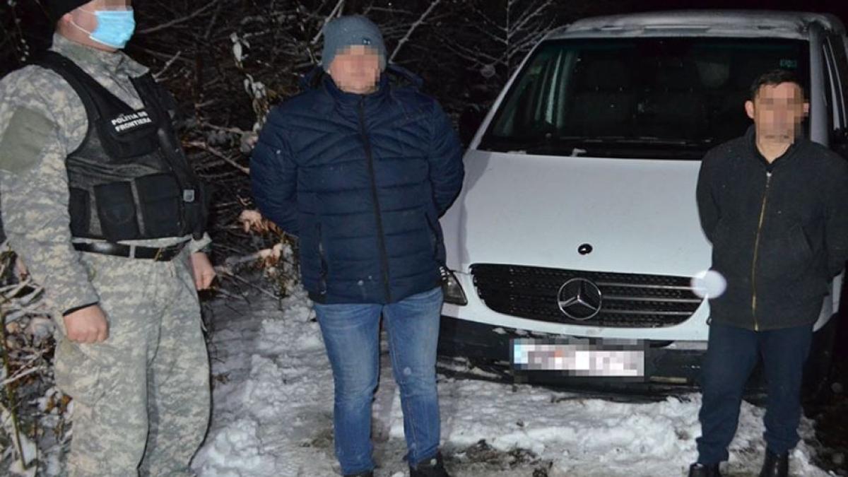 roman_ranit_contrabanda_tigari