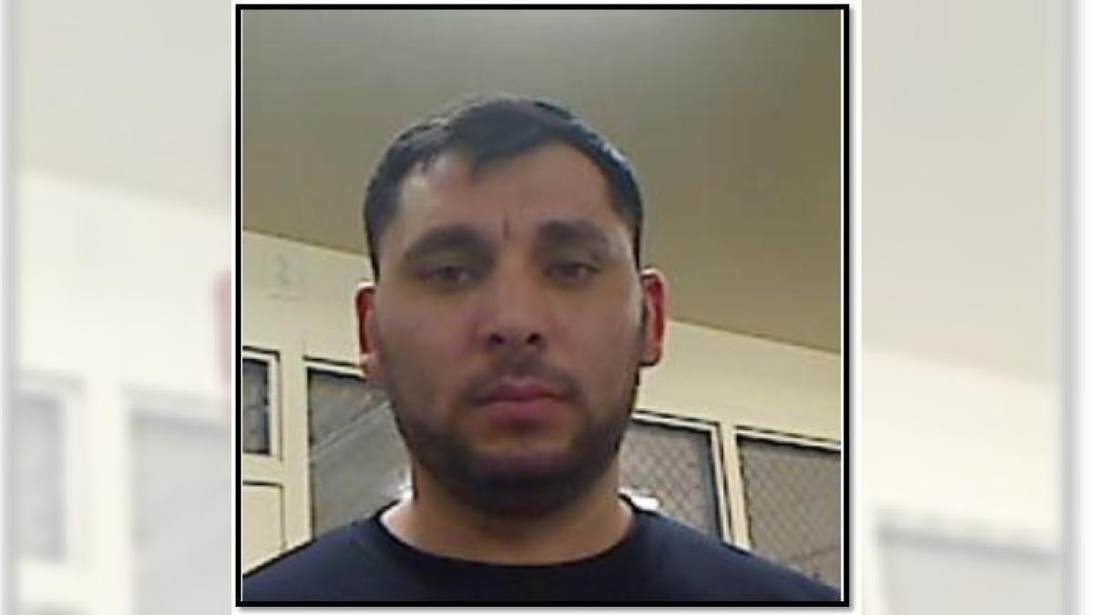 florin-rroman-cautat-sua