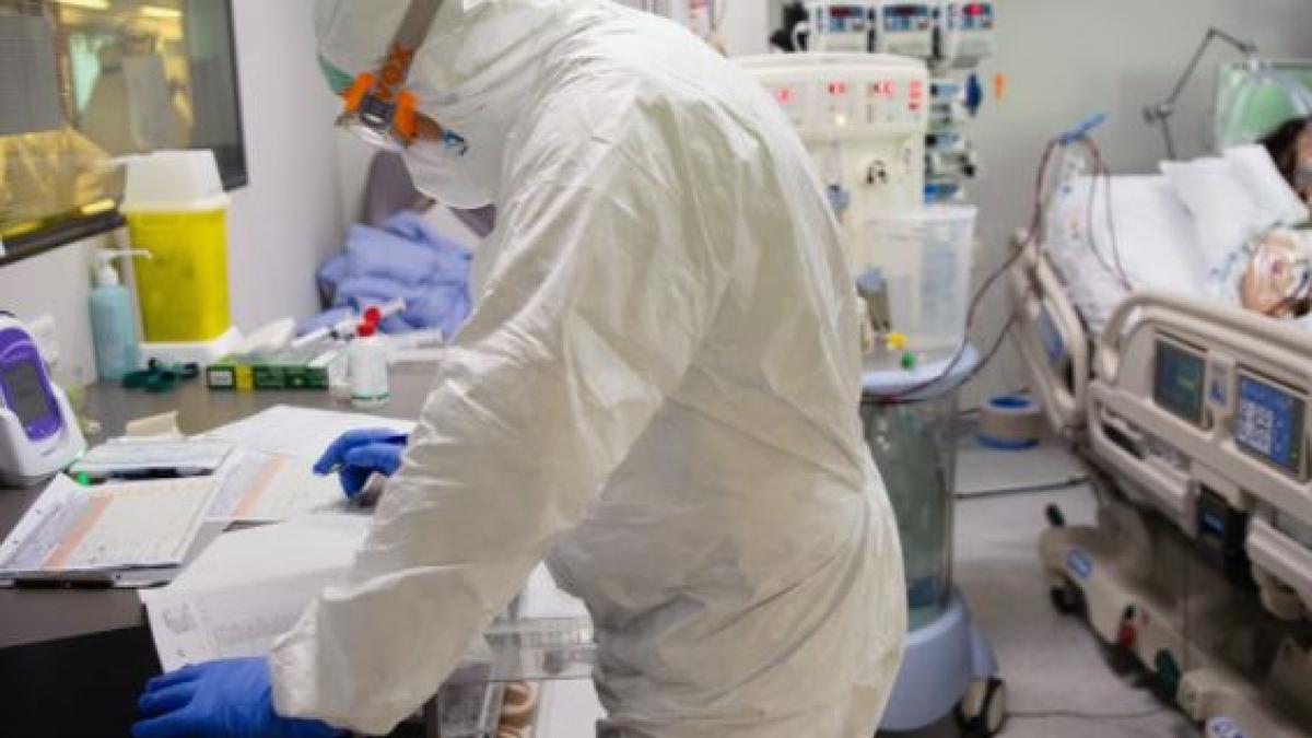 pacenti_covid_olanda