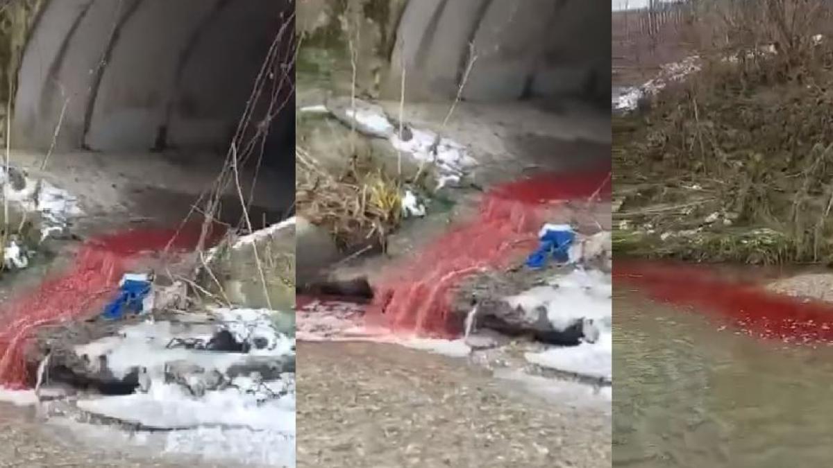 rau_arges_poluat_sange