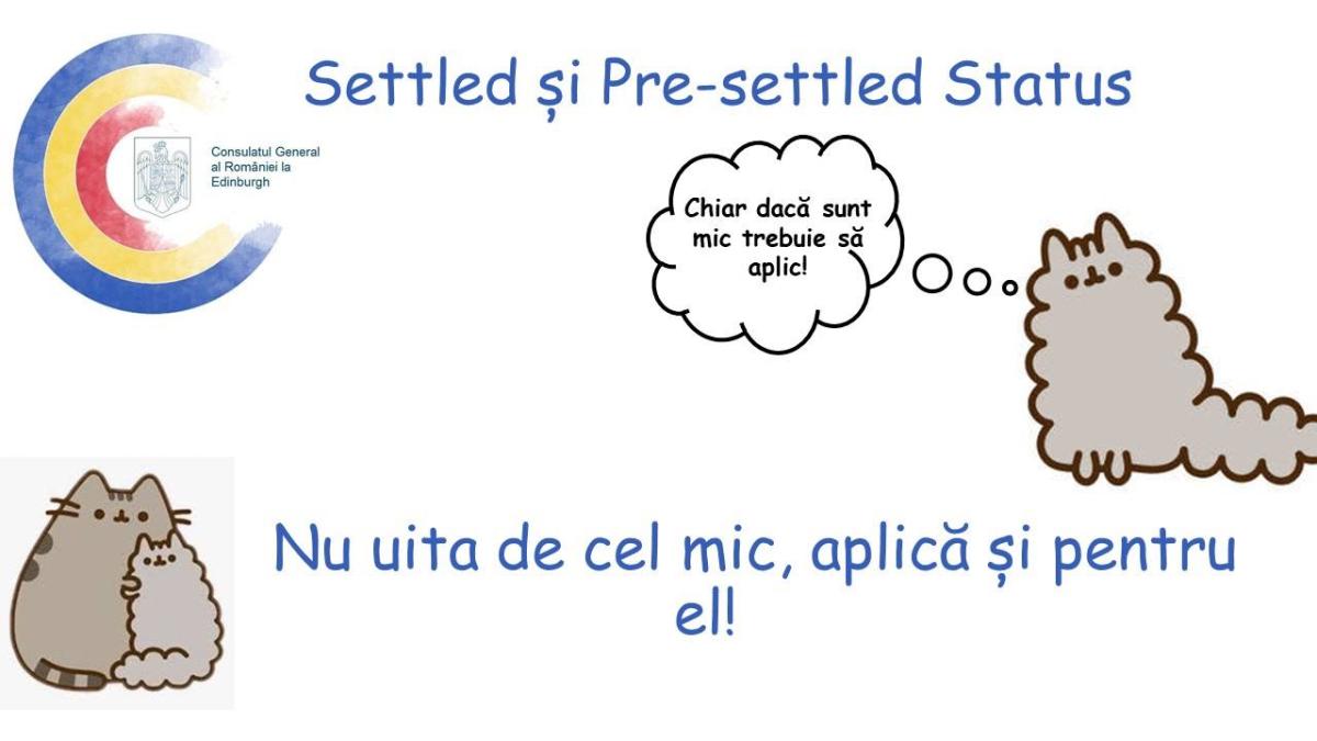 settled-pre-settled-status-copii