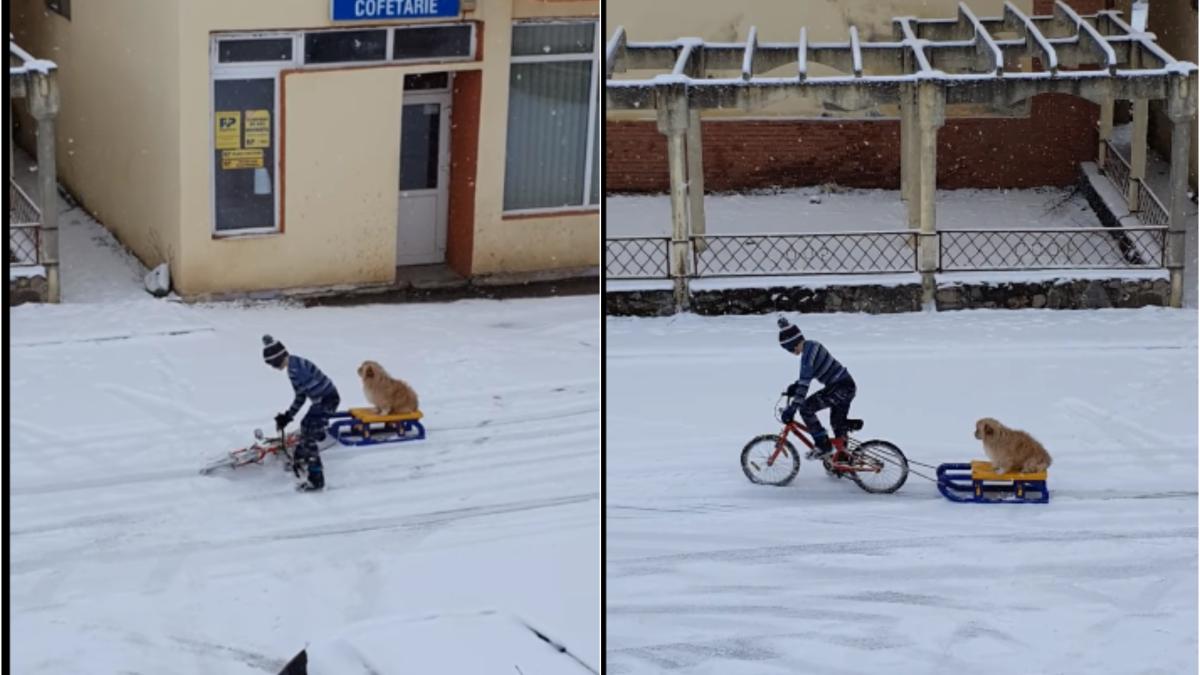 copil-plimba-cainele-pe-sanie-cu-bicicleta