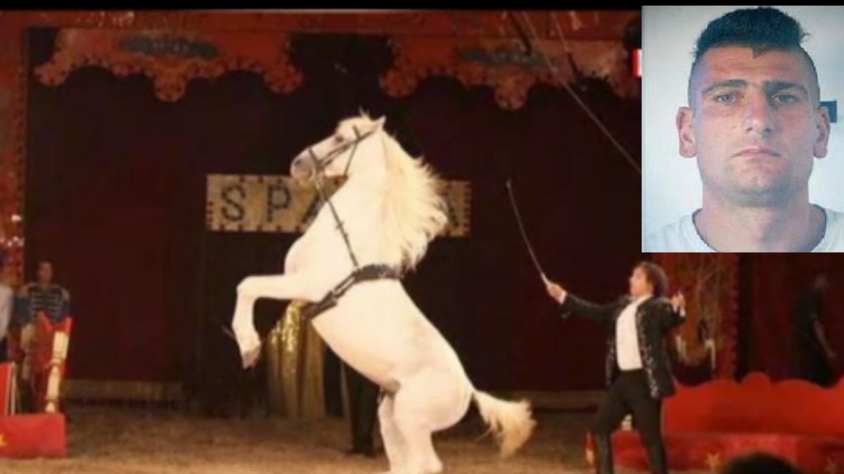 roman-circul-orfei-crima-