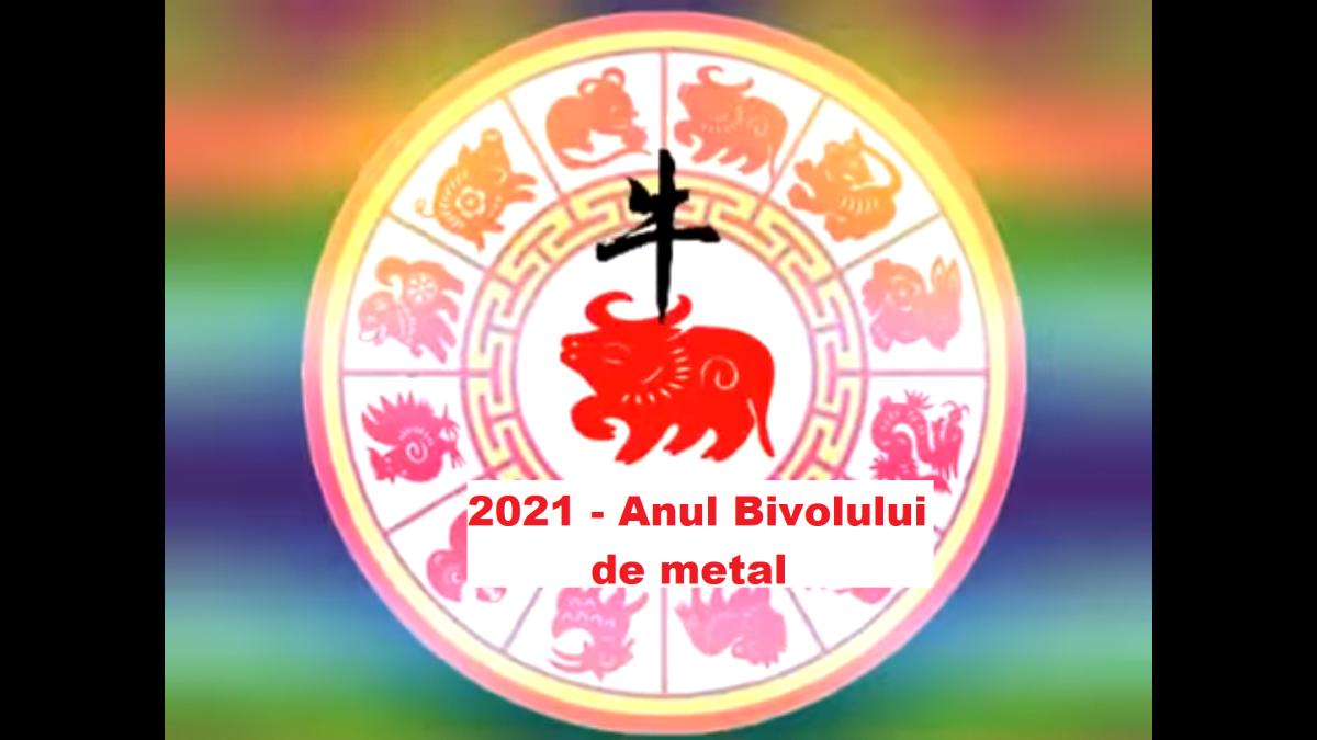 horoscop-chinezesc-2021---anul-bivolului-de-metal