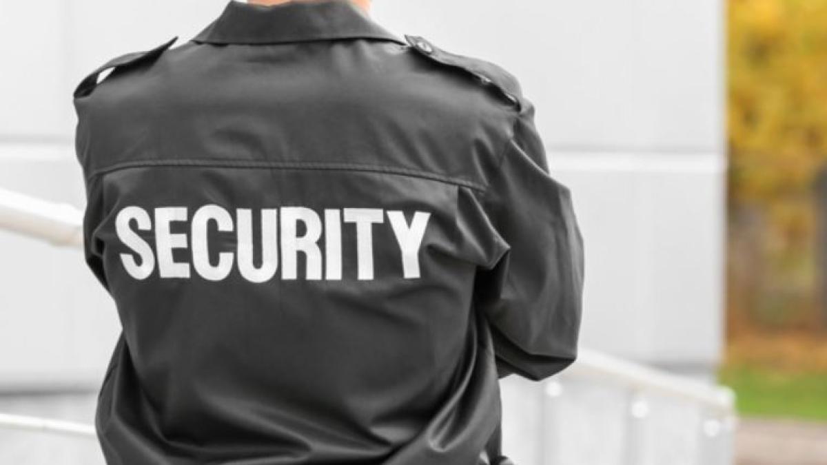 agent_de_paza_atacat_de_un_roman_austria