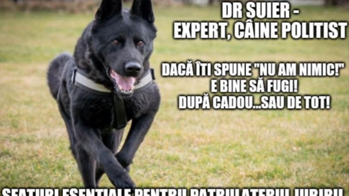 mesajul_ministerului_afacerilor_interne_ziua_indragostitilor