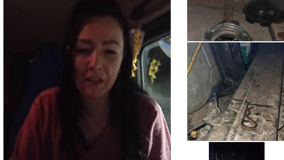 soferita_romanca_lasata_fara_motorina