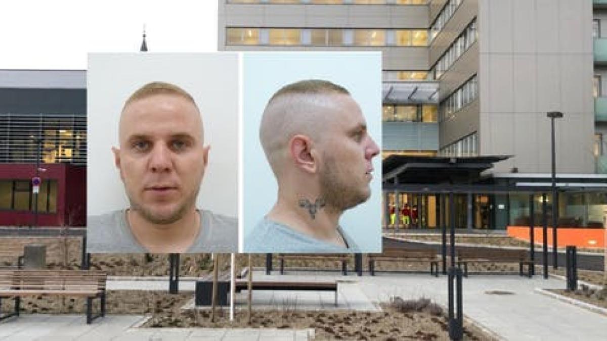 nicu_o_austra_evadat