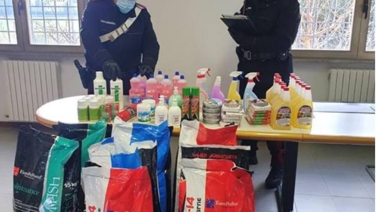 italia_roman_denuntat_pentru-furt