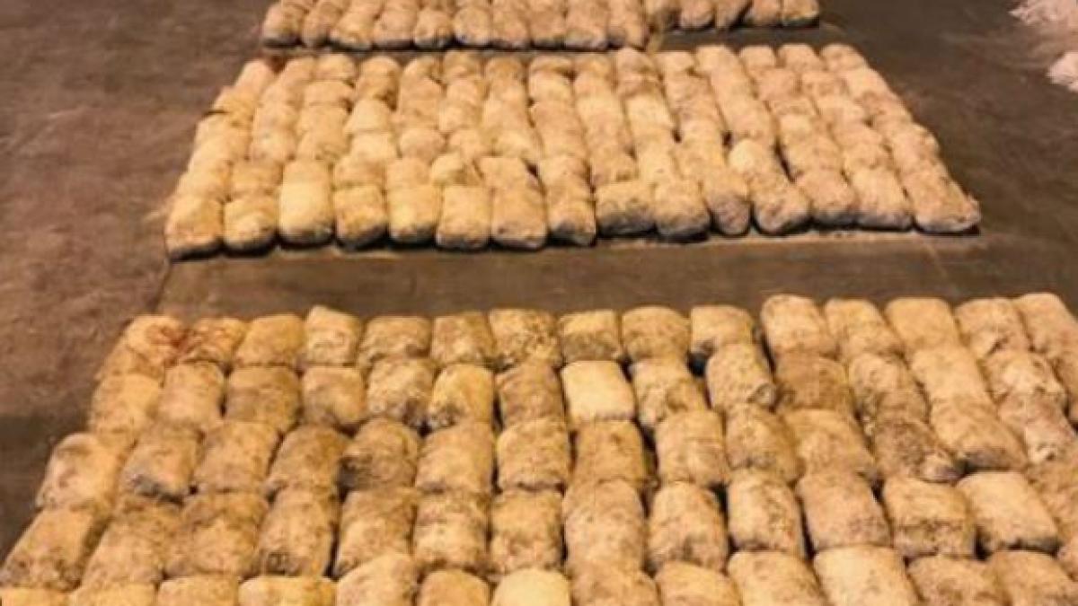 captura-cocaina-in-olanda