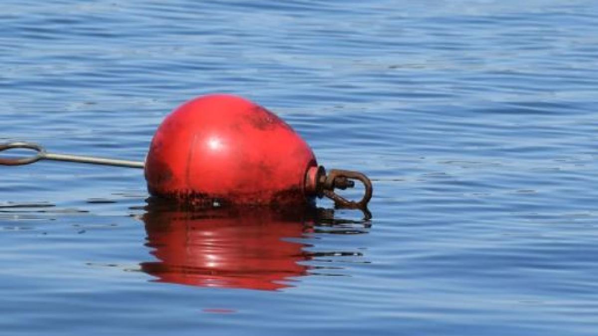 geamandura-marinar-salvat-in-ocean