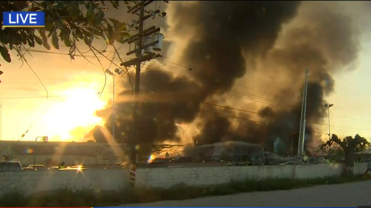 autobuze-flacari-california