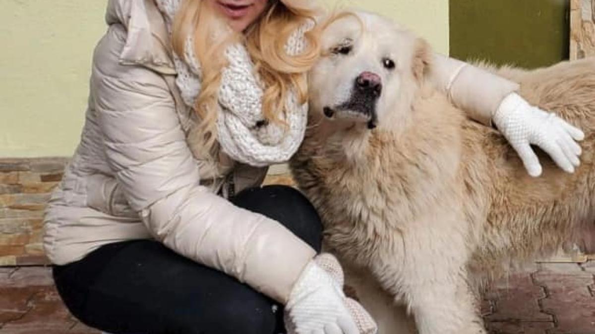 ioana-mihaela-neacsu