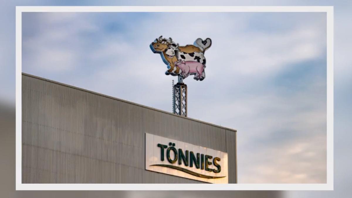 tonnies-abatar-germania