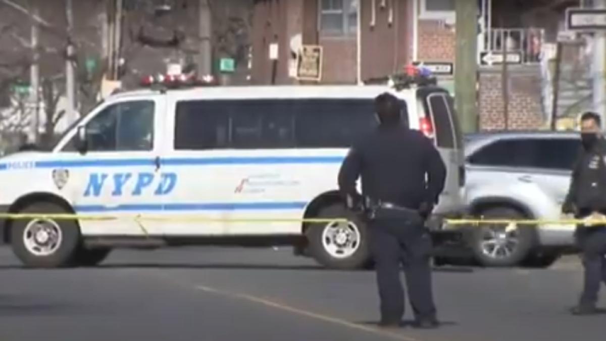 impuscaturi-new-york-brooklyn