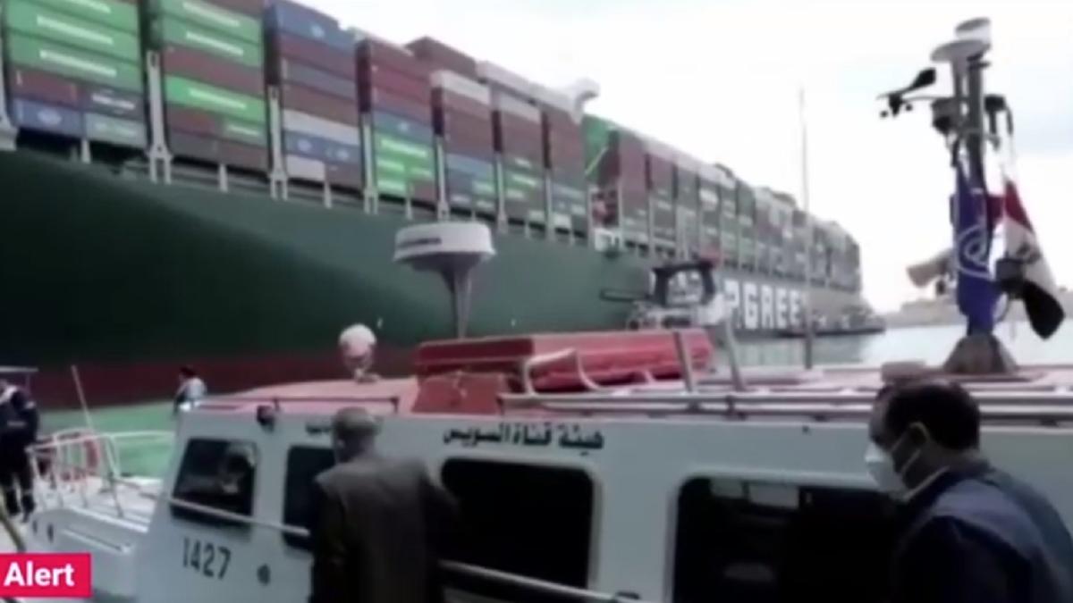 cel-putin-130-000-de-animale-vii-din-romania-risca-sa-moara-in-zona-canalului-suez--dupa-ce-navele-au-ramas-blocate