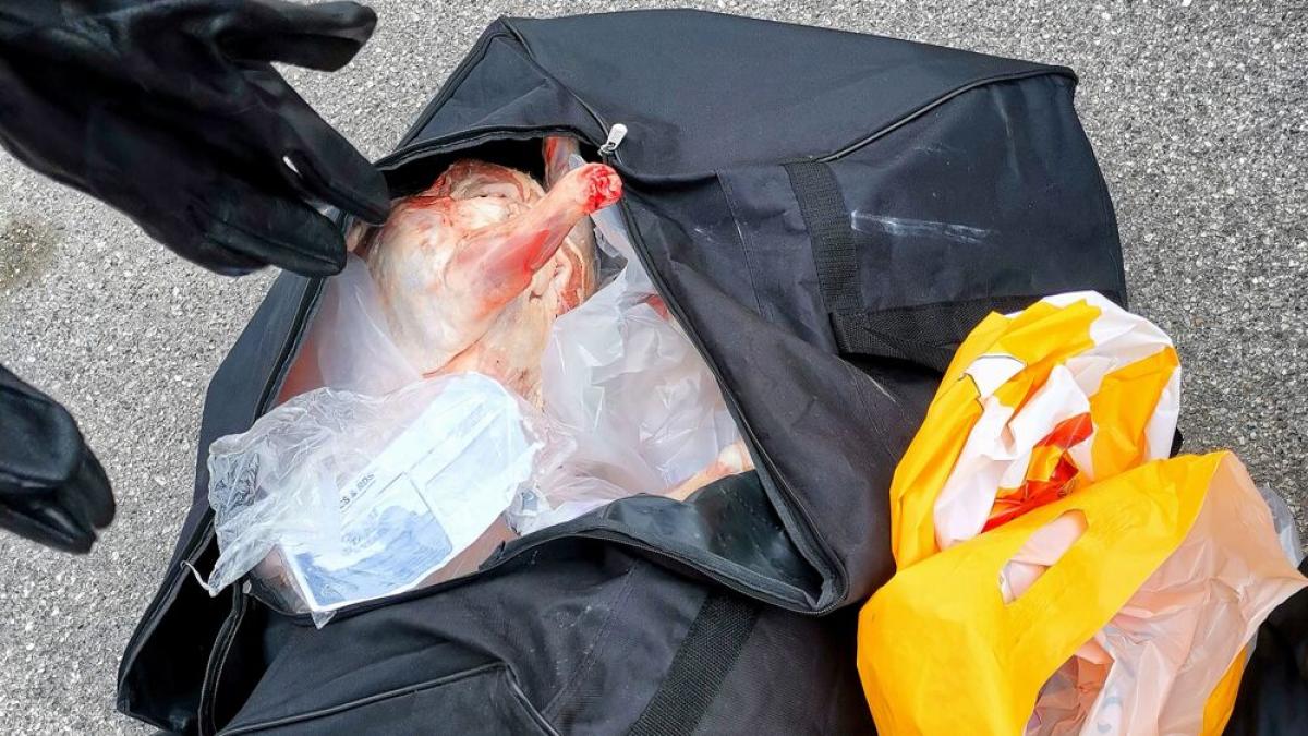 italia--romani-amendati-cu-10-000-de-euro-pentru-ca-aveau-mancare-in-bagaje