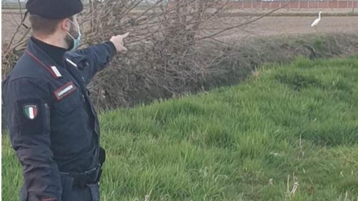 italia-starc-prins-de-un-roman