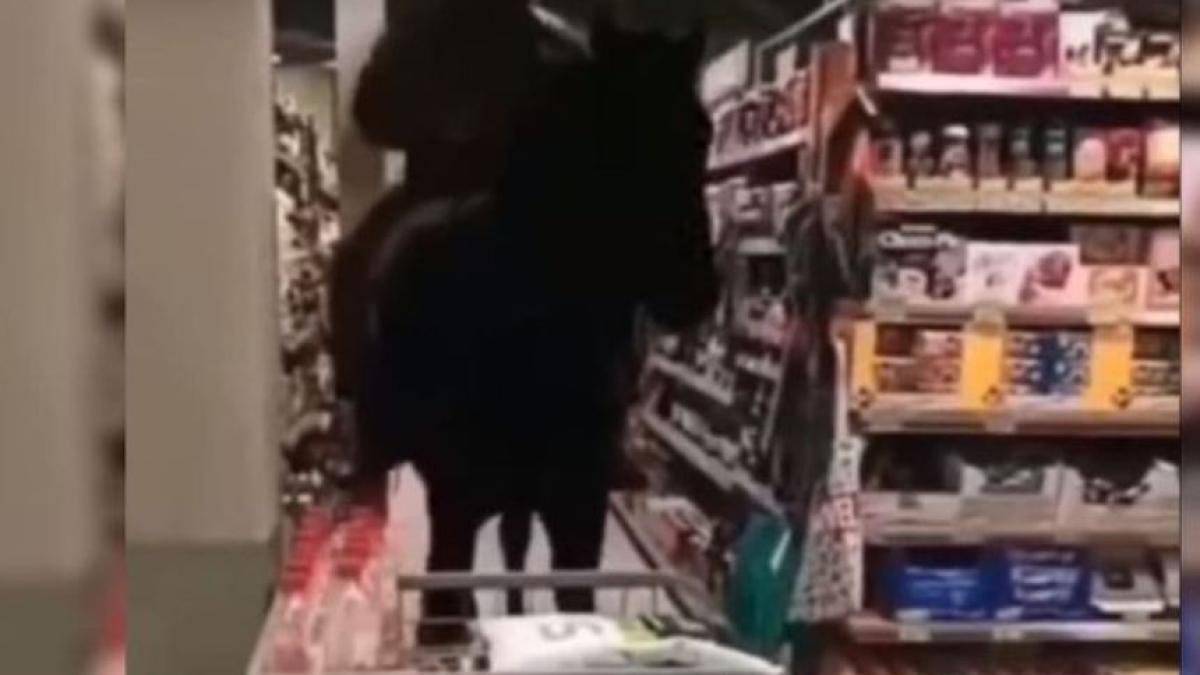 calare-pe-cal-la-magazin