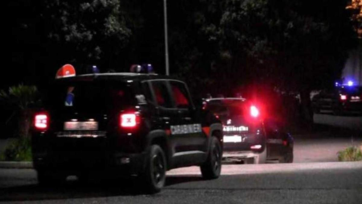 italia-un-roman-a-salvat-o-tanara-de-la-viol