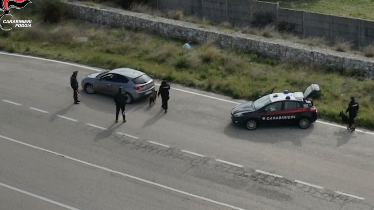 italia-roman-a-incercat-sa-ofere-spaga-carabinierilor