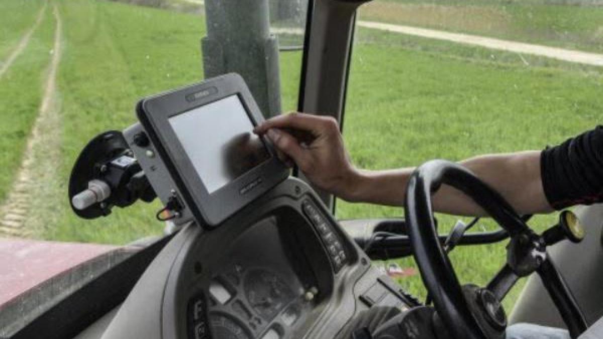 franta-opt-romani--membrii-unei-grupari-criminale-arestati