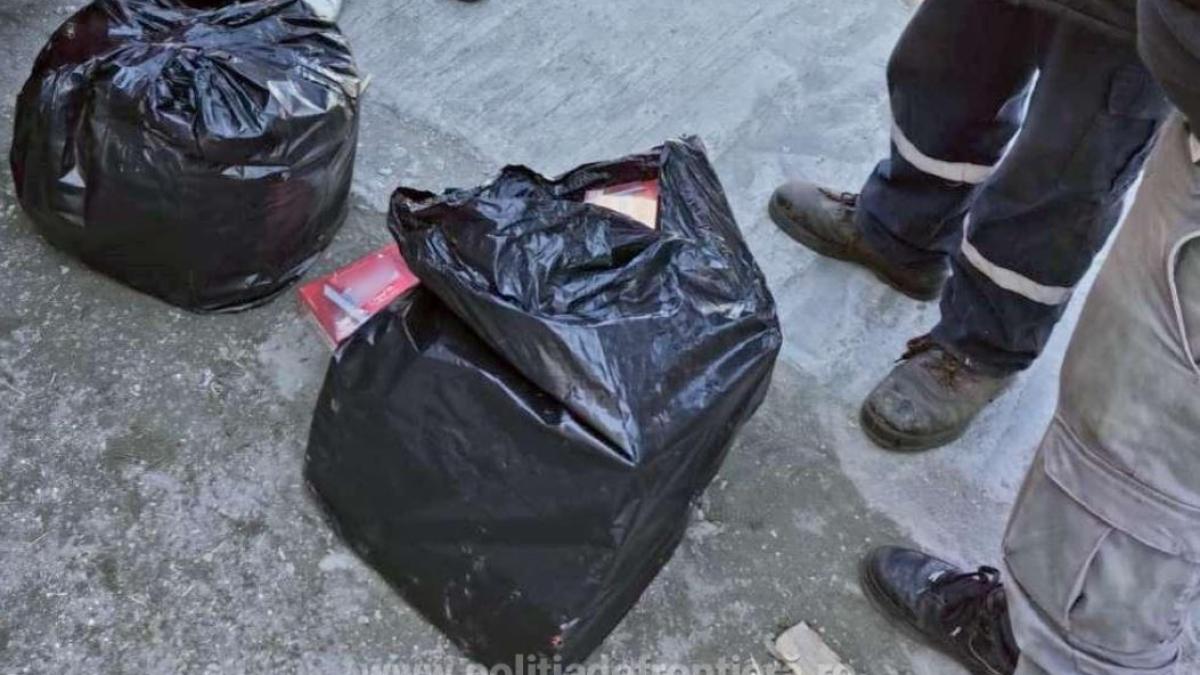 fortele-de-ordie-au-descins--la-o-nava-acosta-in-portul-midia