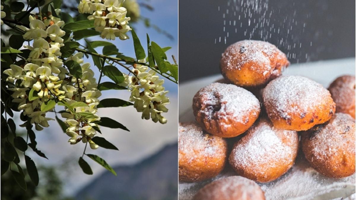 secretul-gogoselelor-aromate-cu-flori-de-salcam--reteta-pastrata-de-la-bunici