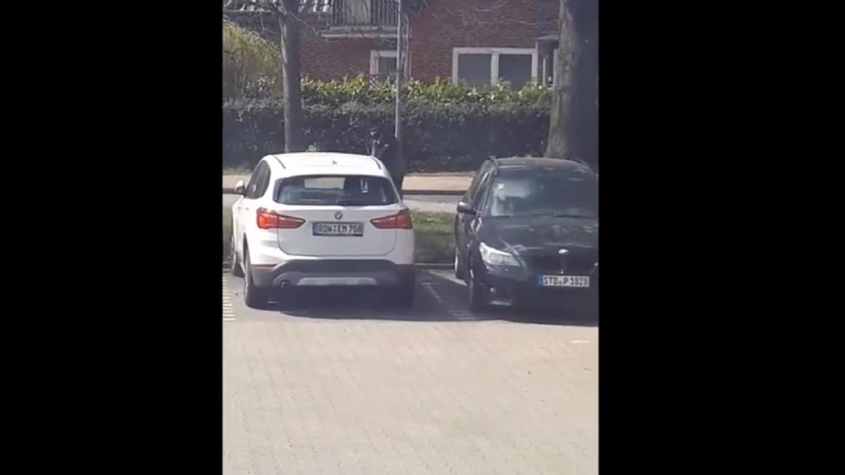 un-cersetor-din-germania--surprins-la-volanul-unei-masini-de-lux-prc-e2prc-80prc-9en-ai-vazut-asa-cevaprc-e2prc-80prc-9d