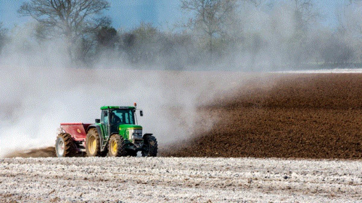 doi-romani--care-au-cumparat-utilaje-agricole-de-peste-60-000-de-lei-si-au-prc-e2prc-80prc-9duitatprc-e2prc-80prc-9d-sa-plateasca--si-au-aflat-pedepsele