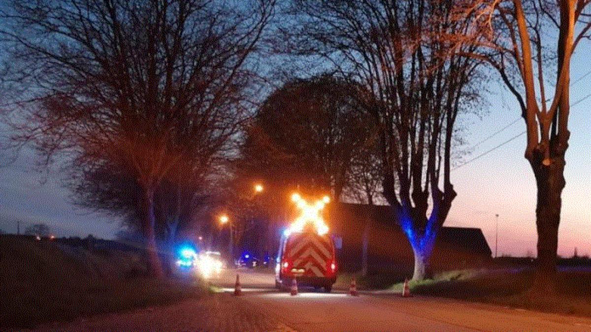 belgia--roman--ranit-grav--dupa-ce-a-intrat-cu-masina-intr-un-copac--un-pasager-a-fost-aruncat-la-cativa-metri-din-automobil