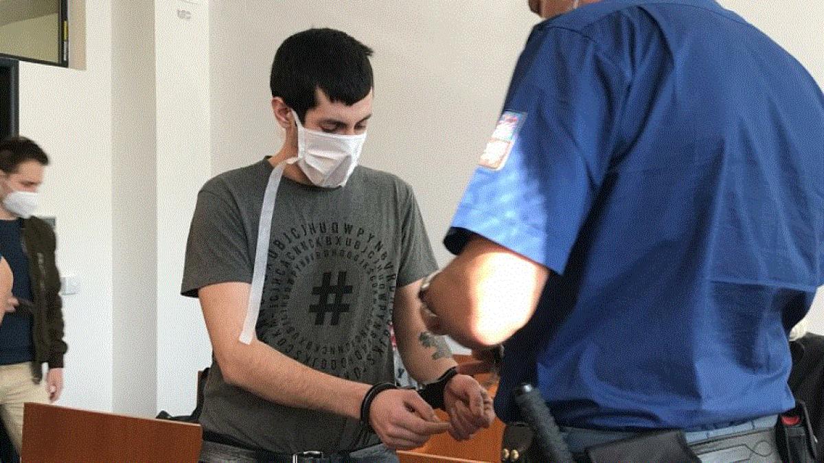 cehia--romanul-care-a-ucis-in-bataie-un-bebelus-de-2-luni--va-staprc-c2prc-a0dupa-gratii-15-ani