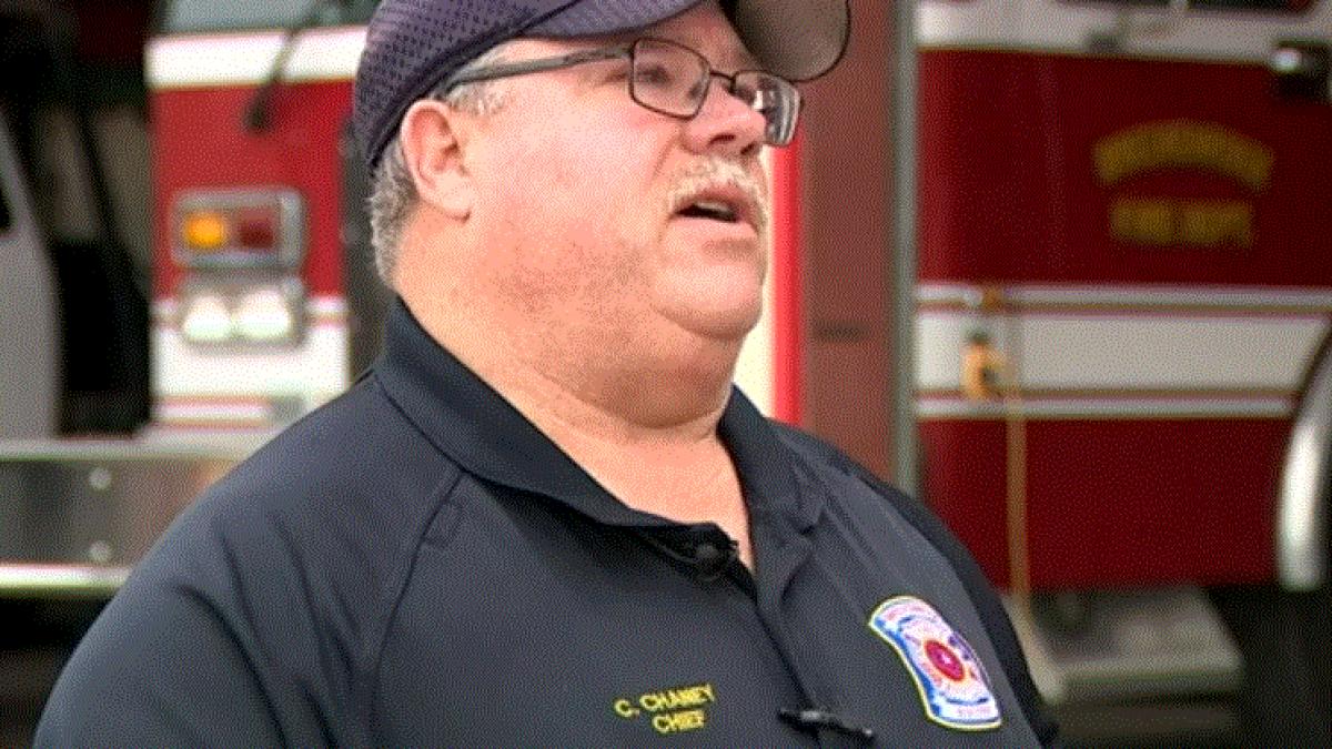 un-barbat--care-isi-tundea-gazonul--a-fost-ucis-de-un-roi-de-albine-agresiveprc-c2prc-a0