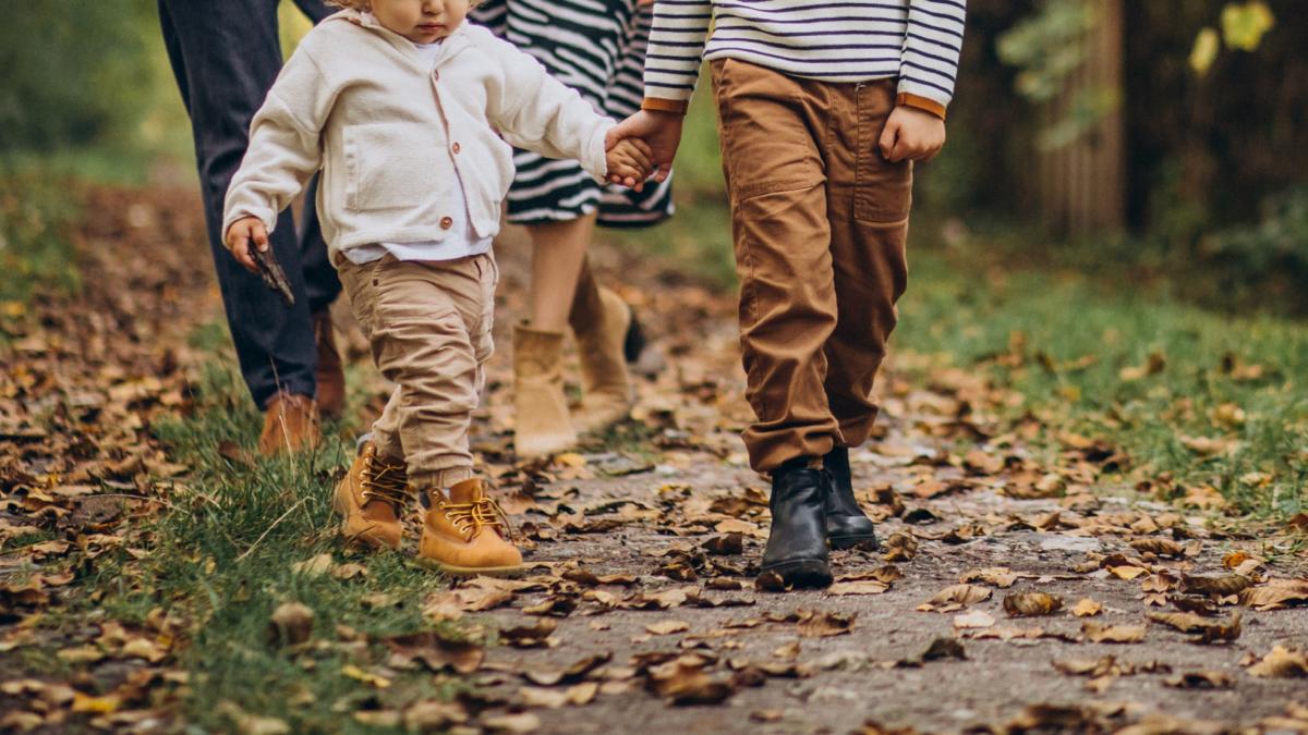 proprietarul-armei-cu-care-un-copil-roman-de-5-ani-a-fost-impuscat-mortal-de-fratele-sau-de-8-ani--retinut