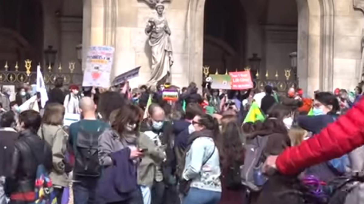 franta--zeci-de-mii-de-oameni-au-iesit-in-strada