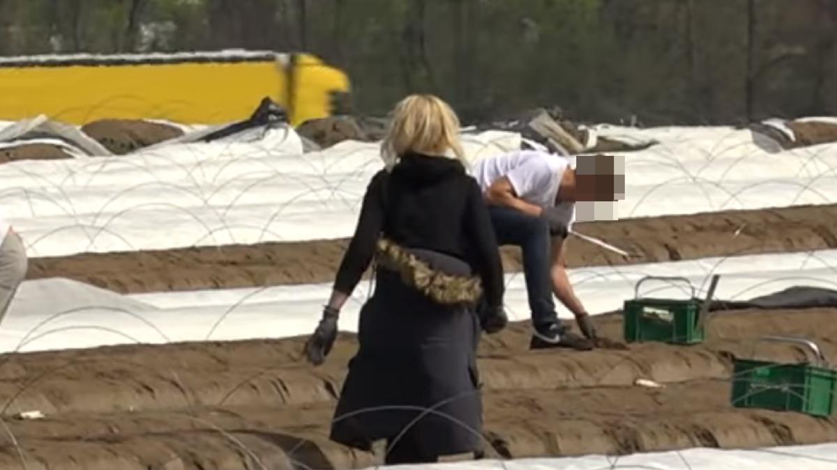 germania--muncitorii-romani-primesc-teste-covid-false-pentru-10-euro-de-la-intermediari-prc-e2prc-80prc-9eo-frauda-indrazneataprc-e2prc-80prc-9d