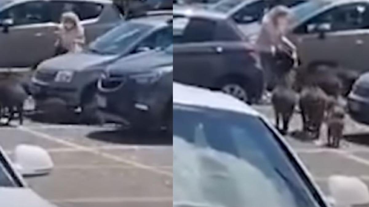 italia--femeie-atacata-de-o-turma-de-mistreti--in-parcarea-unui-supermarket